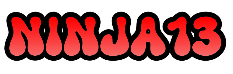 NINJA13 Logo